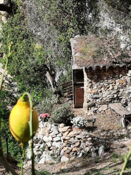 Chalet Zenitude Breil-sur-Roya Esterno foto